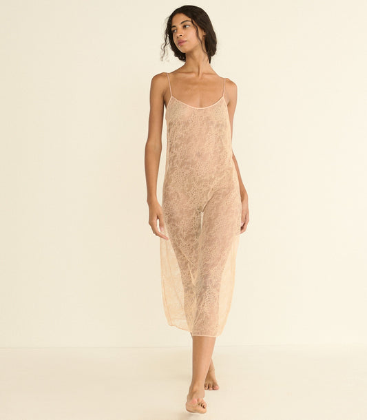 Amedine Lace Slip Dress – Conch | Knee-Length