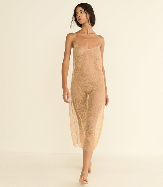 Amedine Lace Slip Dress – Sand Dollar | Knee-Length